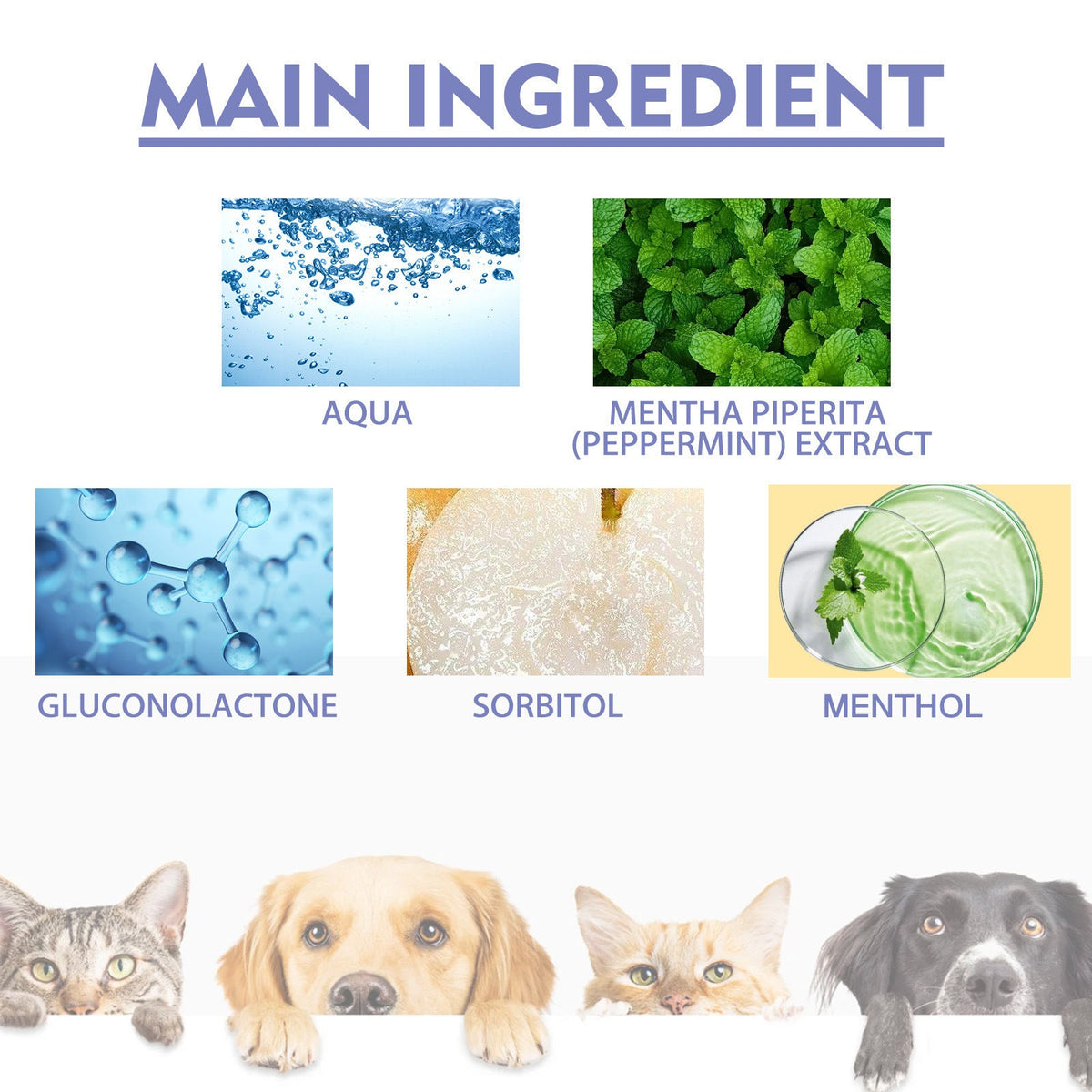 Noumise™ Dental Cleaning Spray for Cat & Dog |Pet Oral Spray