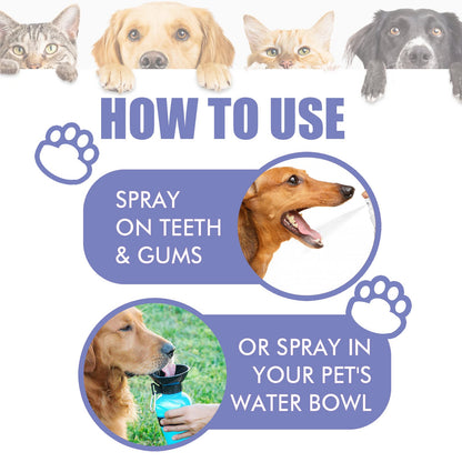 Noumise™ Dental Cleaning Spray for Cat & Dog |Pet Oral Spray