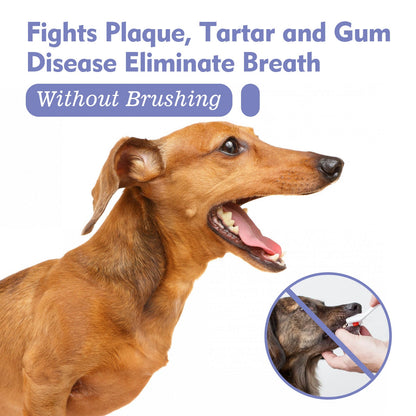 Noumise™ Dental Cleaning Spray for Cat & Dog |Pet Oral Spray