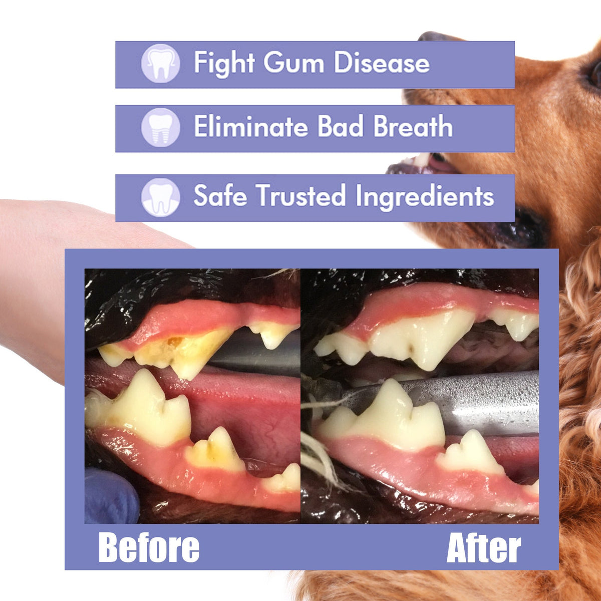Noumise™ Dental Cleaning Spray for Cat & Dog |Pet Oral Spray